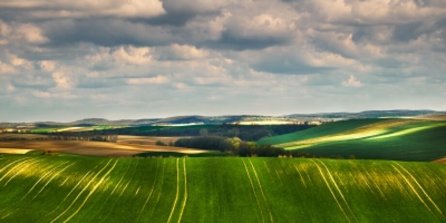 Valstybinės žemės nuomos be aukciono procedūrose vis dar yra spragų