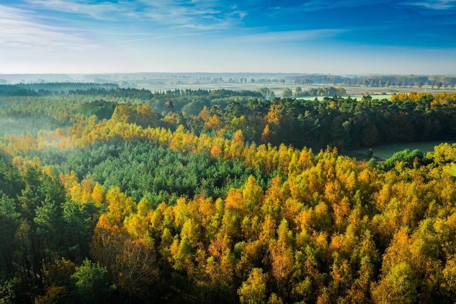 Siūlomi Miškų ir Saugomų teritorijų įstatymų pakeitimai kelia riziką piktnaudžiauti
