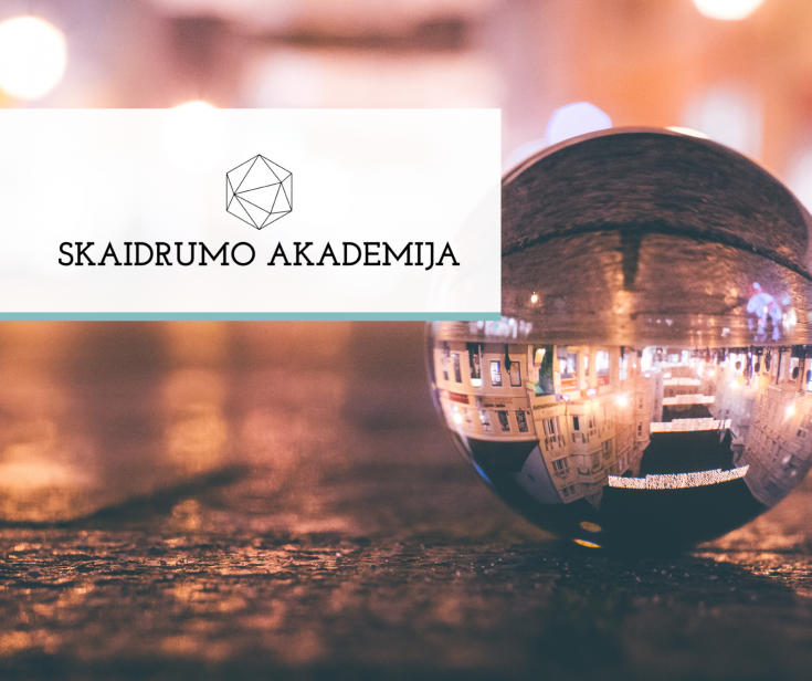 Diskusijoje pasidalyta patirtimi apie atvirų duomenų panaudojimo galimybes