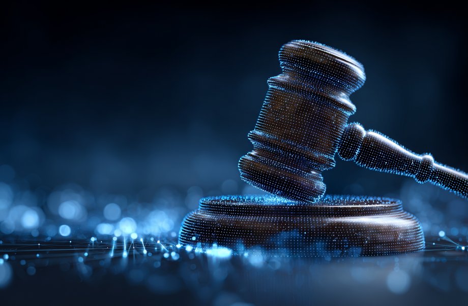 Elektroninių aukcionų organizavimo procesai savivaldybėse nėra pakankamai skaidrūs ir atsparūs...